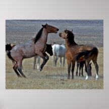 Spielerisches Mustang-Plakat