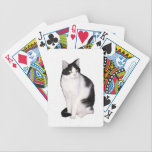 Spielkarten der Katzen-12 spielkarten