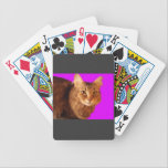 Spielkarten der Katzen-14 spielkarten
