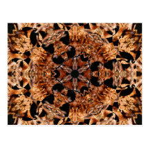 Spikey Ball-Hexe im Januar 2013 Postkarten