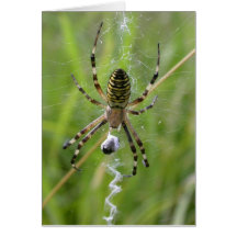 Spinne mit Opfer Grußkarten