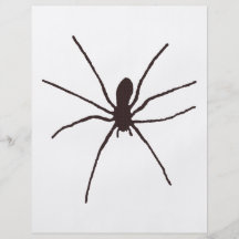 Spinne Vollfarbige Flyer