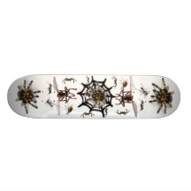 SPINNEN-FALLE! PERSONALISIERTE SKATEBOARDS