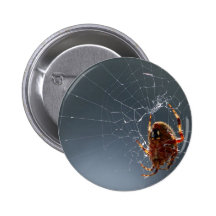 Spinnen-Wanzen Spiderwebs Button