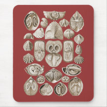 Spirobranchia Mousepads