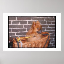 Spitz-Plakat