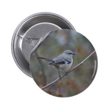 Spottdrossel-Vogelkunde Anstecknadel