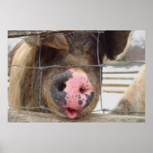 Sprechenschwein Posterdruck