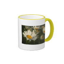 SpringBlooms Kaffeetassen