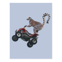 Springen der Lemur-Postkarte
