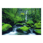 Staatsangehöriger 3 USA, Oregon, Columbia River Sc Kunstfotos