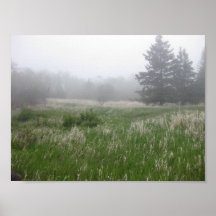 Stachelbeerfälle - Grasland Plakatdruck