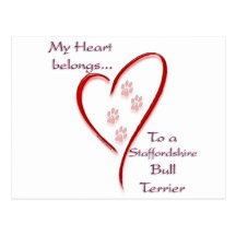 Staffordshire-Bullterrier-Herz gehört Postkarte