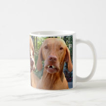 Stammvolkhunde Haferl