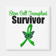 Stammzelle-Transplantations-Überlebend-Schmetterli Magnete