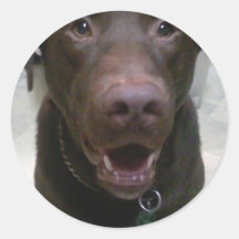 StanleyChocolateLab Runder Aufkleber