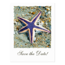 Starfish, die Save the Date Postkarte Wedding sind