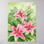 stargazerlilies Druck Posterdruck