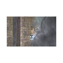Stealthy Jaguar, "wild für das Leben" Leinwandausg Gespannter Galerie Druck