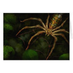 Steampunk - Insekt - Arachnia Automaten Karten
