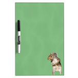 Stehendes Eichhörnchen Whiteboards