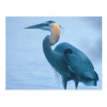 Stehendes hohes postkarte
