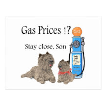 Steinhaufen-Terrier-Gaspreise?!! Postkarte