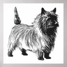 Steinhaufen-Terrier-Hund Posterdrucke
