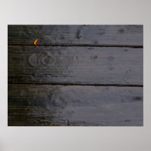 "Stelle der Farbe" Plakat