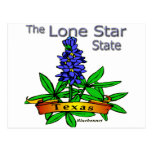 Stern-StaatBluebonnet Texas einziger Postkarte