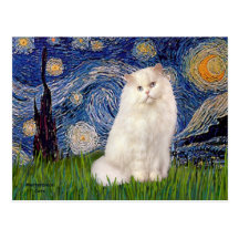 Sternenklare Nacht - weiße persische Katze Postkarte