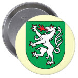 steyr, Österreich Anstecknadelbutton