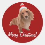 Sticker "Dackel" Weihnachten