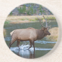 Stier-Elche Untersatz