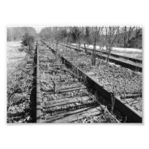 Stiller Bahnen7x5 photographischer Schwarzweiss-pr