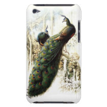 Stillstehende Pfaus für iPod-Touch casemate hüllen