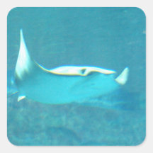 Stingray-Aufkleber