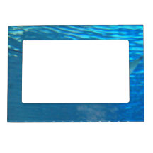 Stingray, der magnetischen Rahmen schwimmt