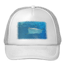 Stingray-Schwimmen-Baseball-Mütze