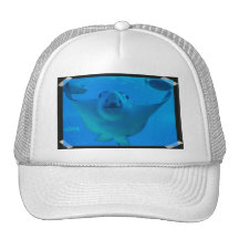 Stingray-UnterwasserBaseball-Mütze