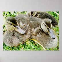 Stock zusammen plakatdrucke