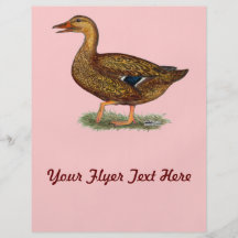 Stockenten-Enten-Henne Flyer