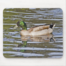 Stockenten-Kreuzung Mousepads