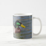 Stockenten-Porträt Tasse