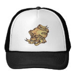 Stolz Cometh vor einem Fall. Baseball Caps