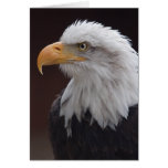 Stolze Eagle-Karte
