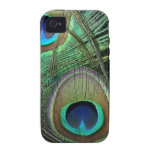 Stolzer Pfau versieht iPhone 4 Kasten mit Federn iPhone 4/4S Cover