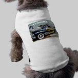 Strand Cruzer hundekleidung