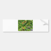 Strand flowers.jpg autosticker
