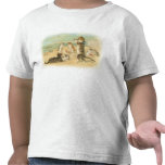 Strand-Kätzchen Tshirt
